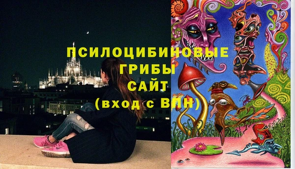 а пвп мука Алзамай